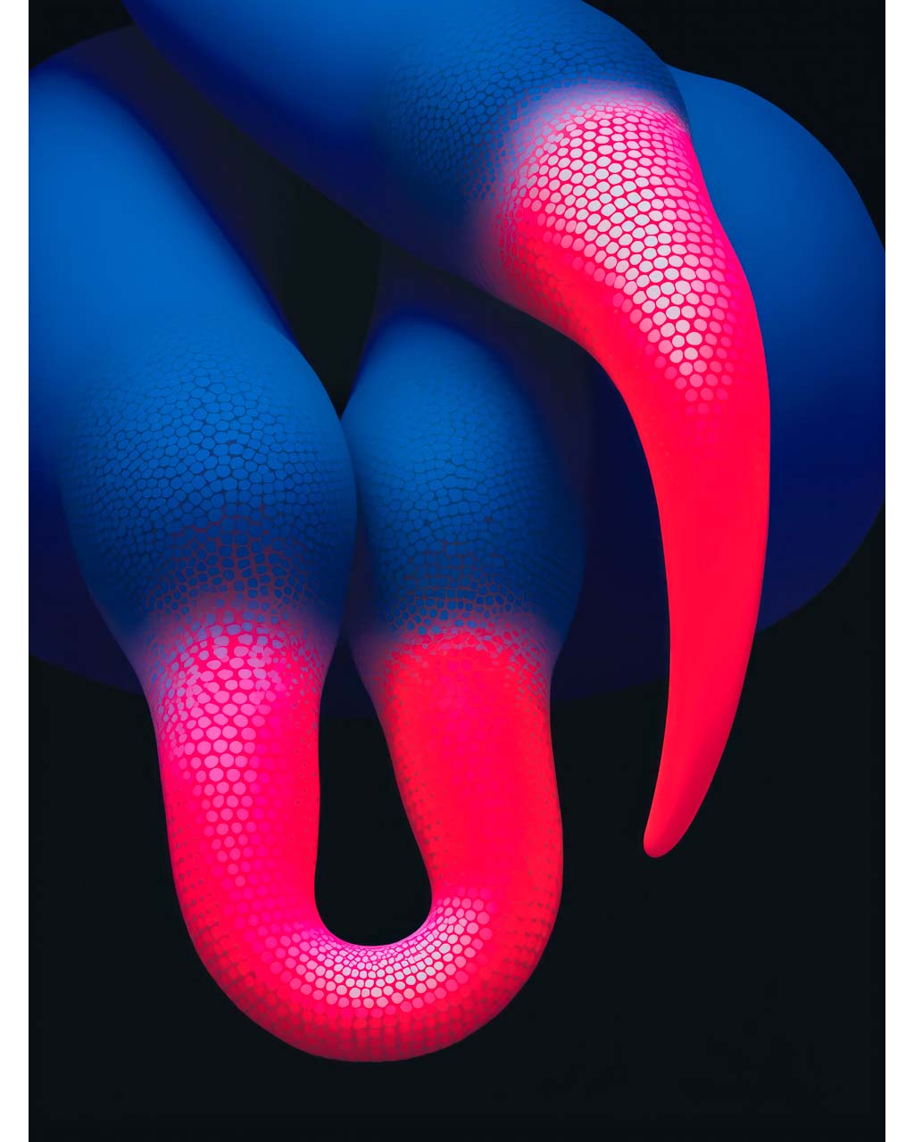 Poster art featuring a surrealist closeup image of blue birds with bright pink beaks.