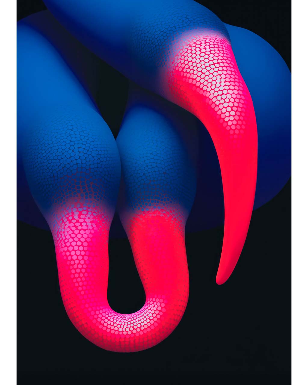 Poster art featuring a surrealist closeup image of blue birds with bright pink beaks.