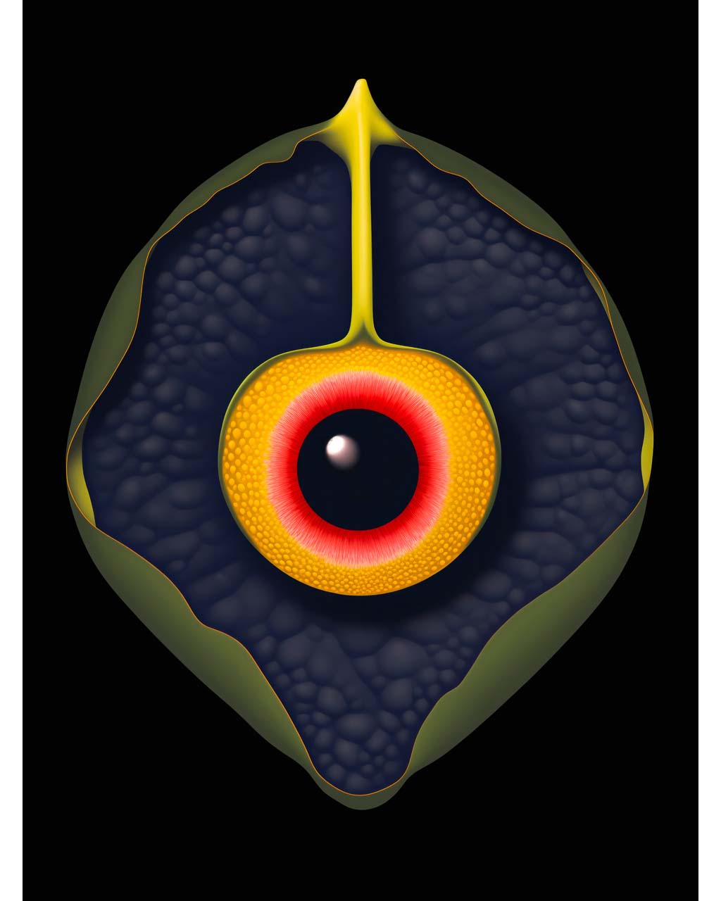 Poster Art. Surreal image of a plant with an eye in the middle.