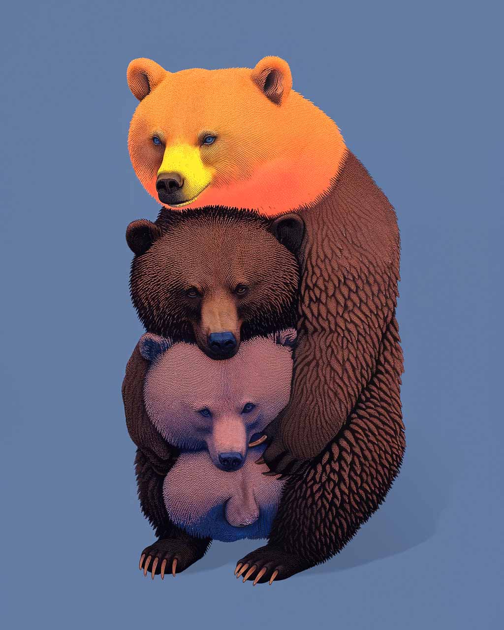 A mysterious bear with many faces